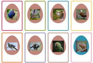 Easter Bird Hunt